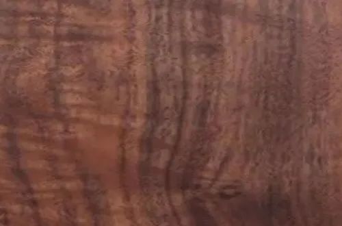 Wood Science of Acoustic Guitar: Barrel Body